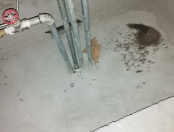 都匀卫生间测漏水价格明细